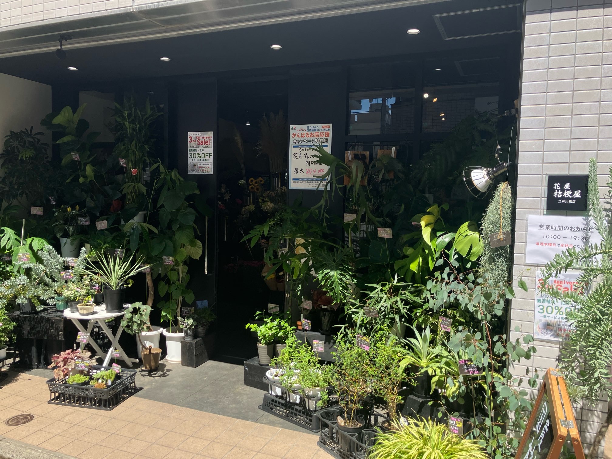 江戸川橋店3周年感謝セール