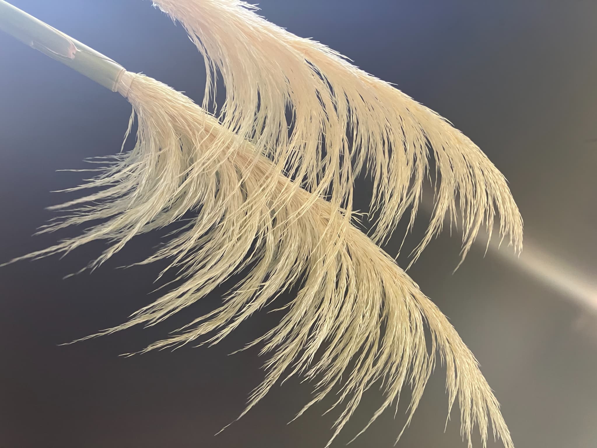 9月のお花イベント